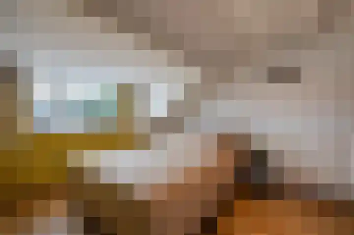 Borg Ewsum 106 Almelo thumbnail 24