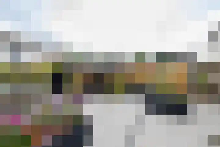 Borg Ewsum 106 Almelo thumbnail 27