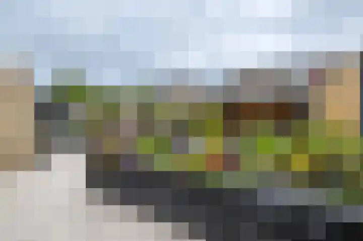Borg Ewsum 106 Almelo thumbnail 28