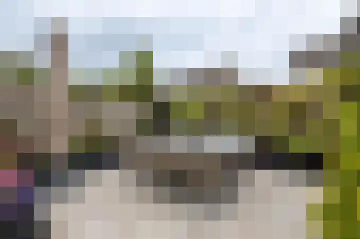 Borg Ewsum 106 Almelo thumbnail 29