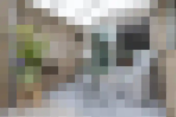 Borg Ewsum 106 Almelo thumbnail 30