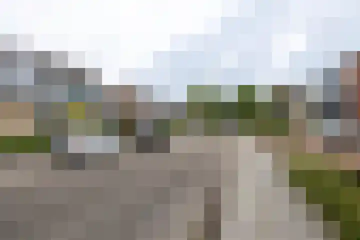 Borg Ewsum 106 Almelo thumbnail 32