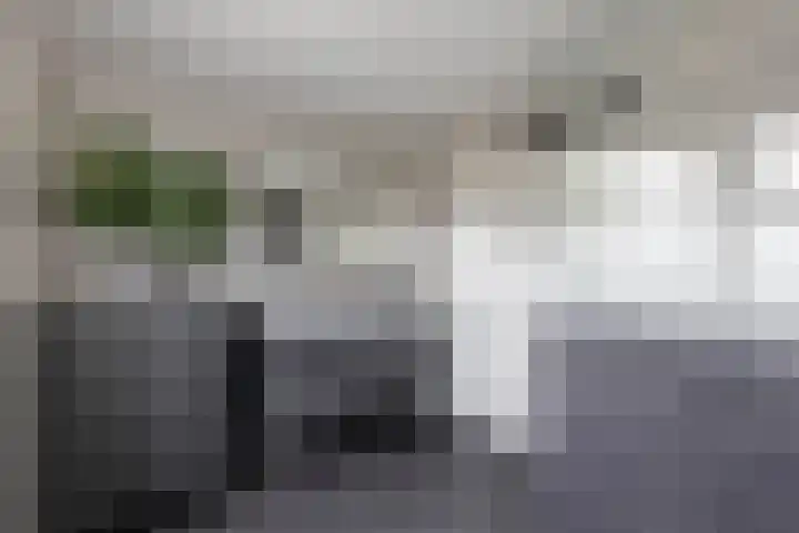 Borg Ewsum 106 Almelo thumbnail 4