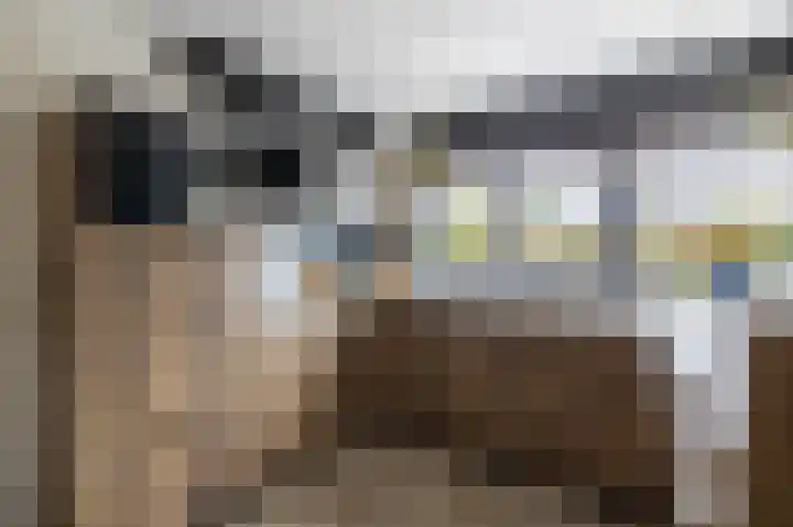 Borg Ewsum 106 Almelo thumbnail 6