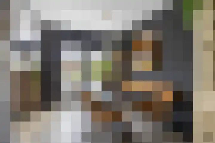 Borg Ewsum 106 Almelo thumbnail 9