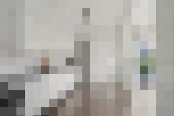 Borg Ewsum 25 Almelo thumbnail 13