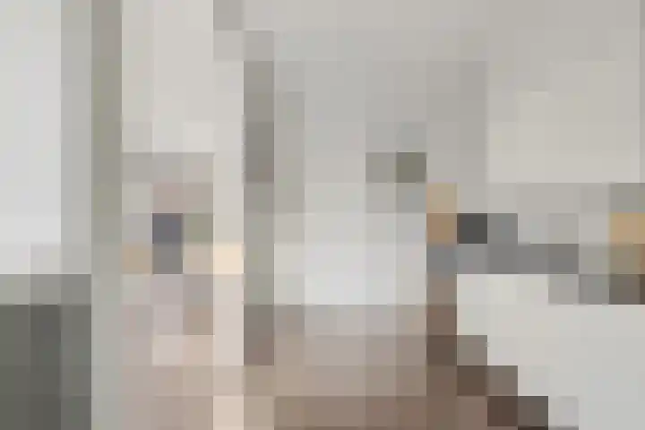 Borg Ewsum 25 Almelo thumbnail 14