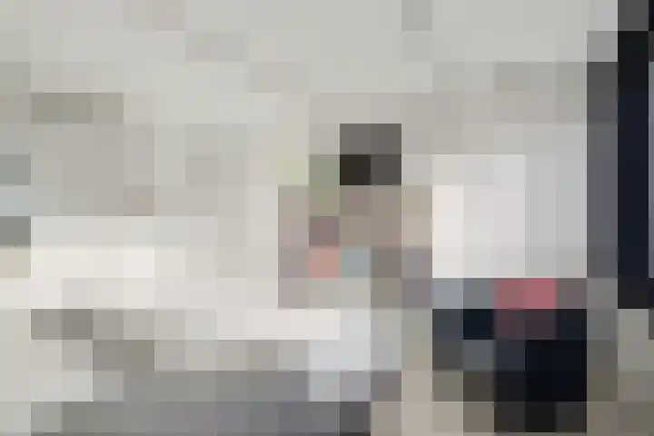 Borg Ewsum 25 Almelo thumbnail 17