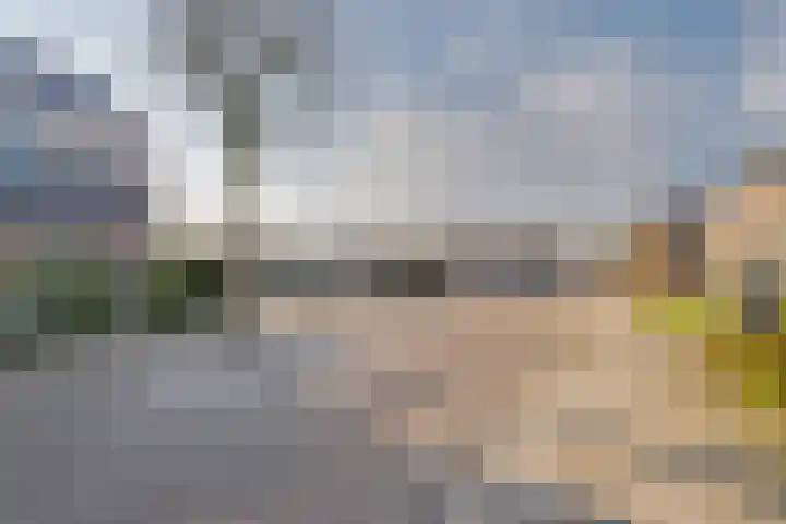 Borg Ewsum 25 Almelo thumbnail 38