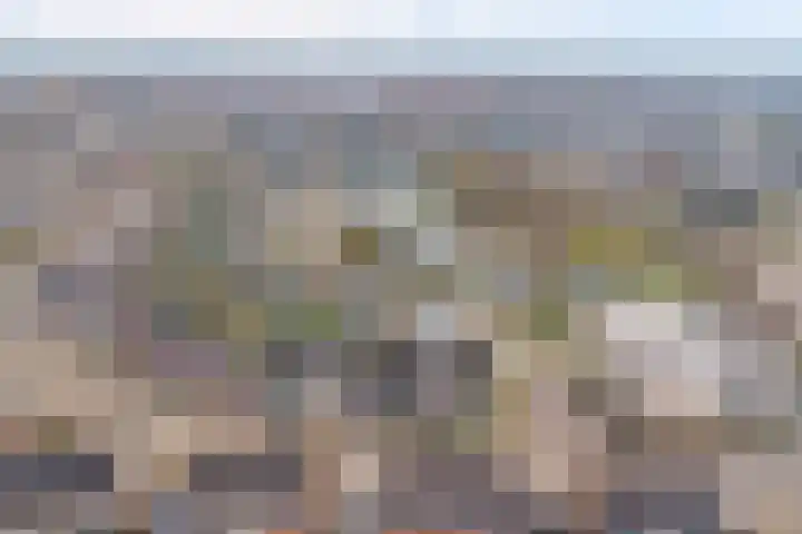Borg Ewsum 25 Almelo thumbnail 40