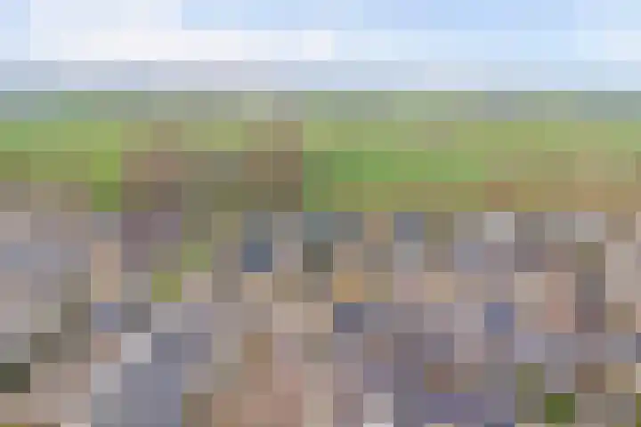 Borg Ewsum 25 Almelo thumbnail 41