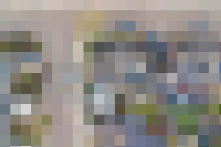 Borg Ewsum 25 Almelo thumbnail 42