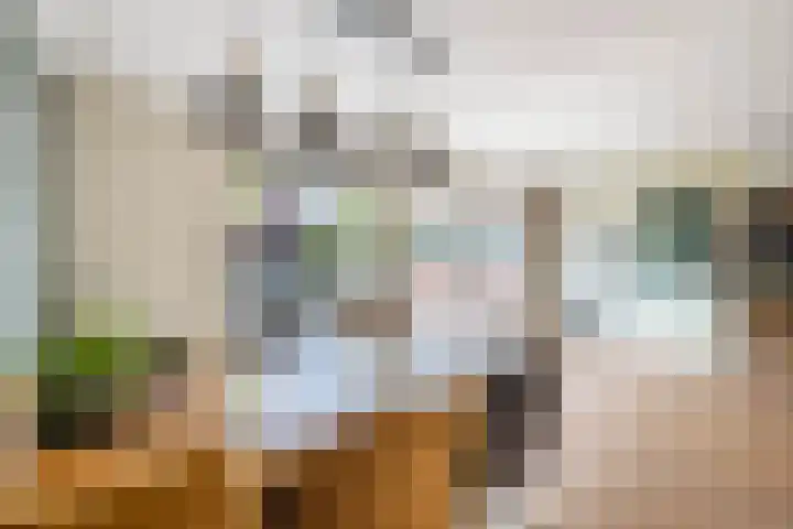 Borg Ewsum 37 Almelo thumbnail 11