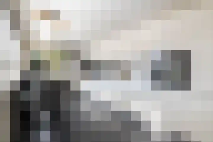 Borg Ewsum 37 Almelo thumbnail 12