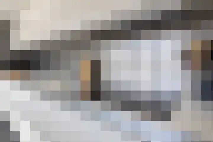 Borg Ewsum 37 Almelo thumbnail 13