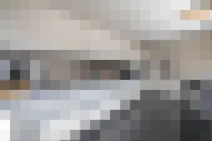 Borg Ewsum 37 Almelo thumbnail 14
