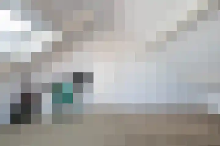 Borg Ewsum 37 Almelo thumbnail 26