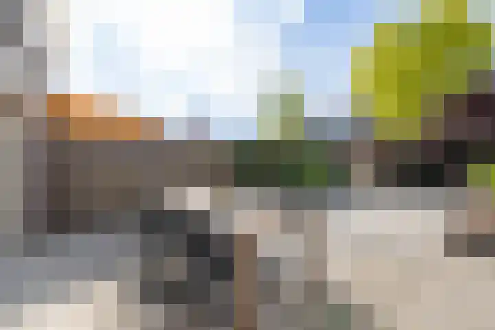Borg Ewsum 37 Almelo thumbnail 28