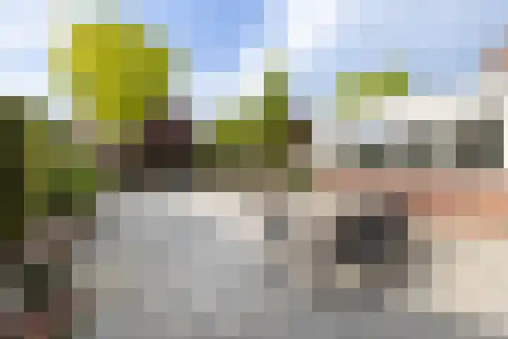 Borg Ewsum 37 Almelo thumbnail 29