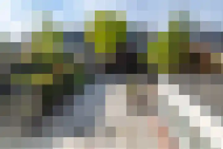 Borg Ewsum 37 Almelo thumbnail 30