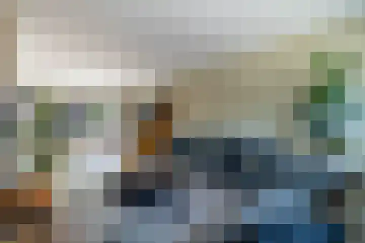 Borg Ewsum 37 Almelo thumbnail 8