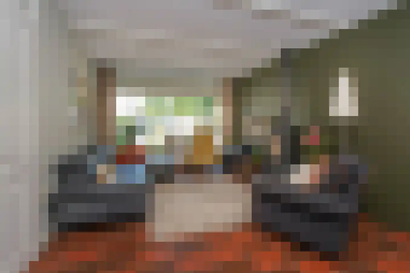 Borg Ewsum 39 Almelo thumbnail 10