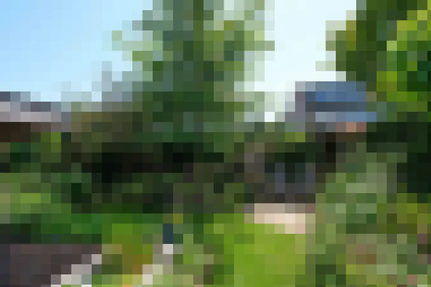 Borg Ewsum 39 Almelo thumbnail 16