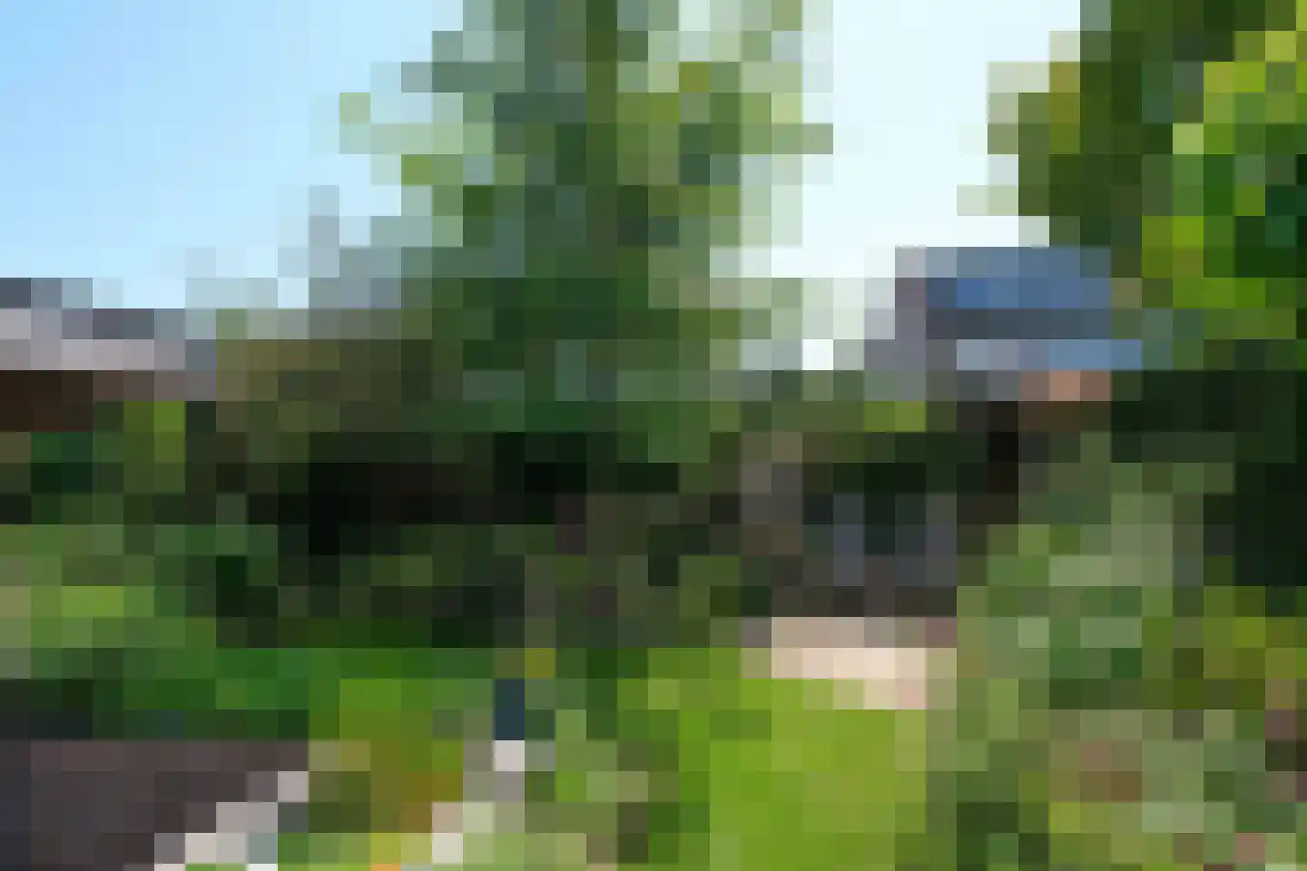 Borg Ewsum 39 Almelo thumbnail 16
