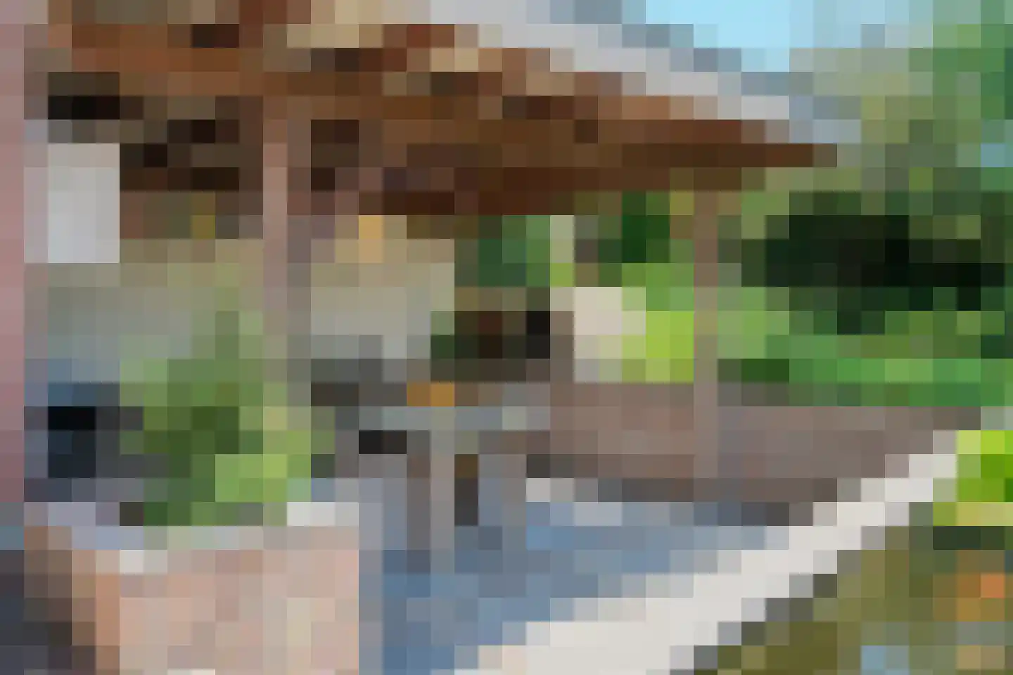 Borg Ewsum 39 Almelo thumbnail 28