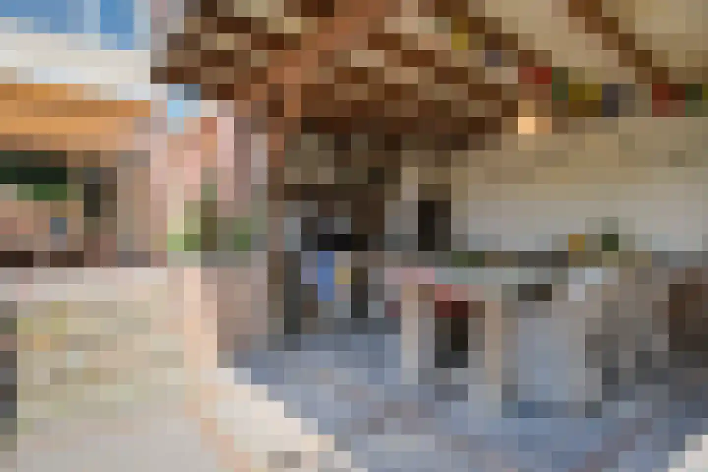 Borg Ewsum 39 Almelo thumbnail 30