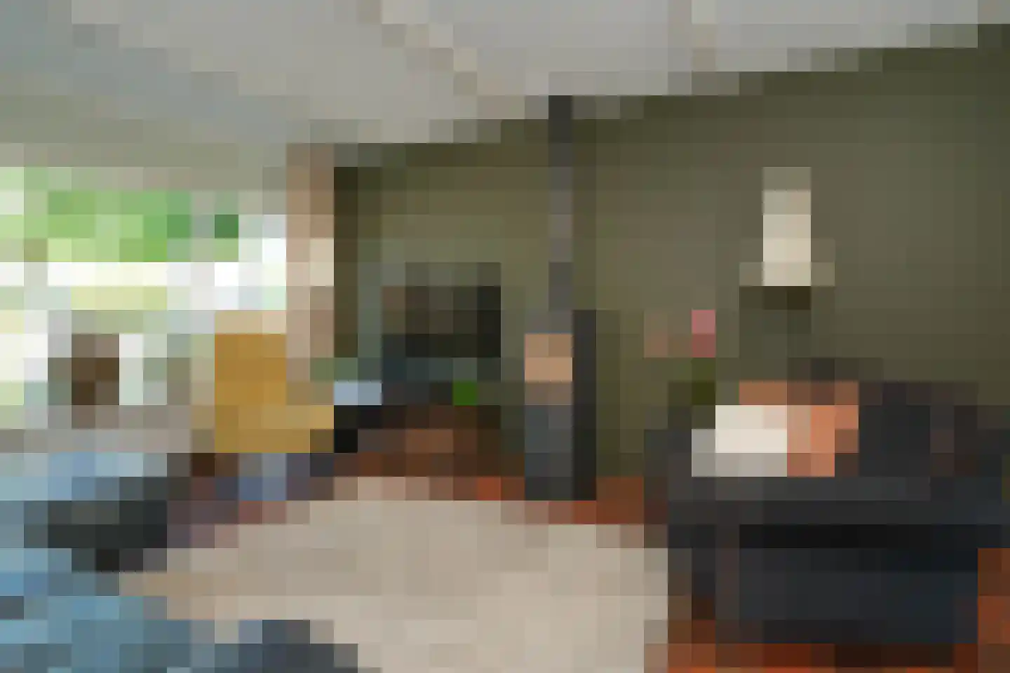 Borg Ewsum 39 Almelo thumbnail 9