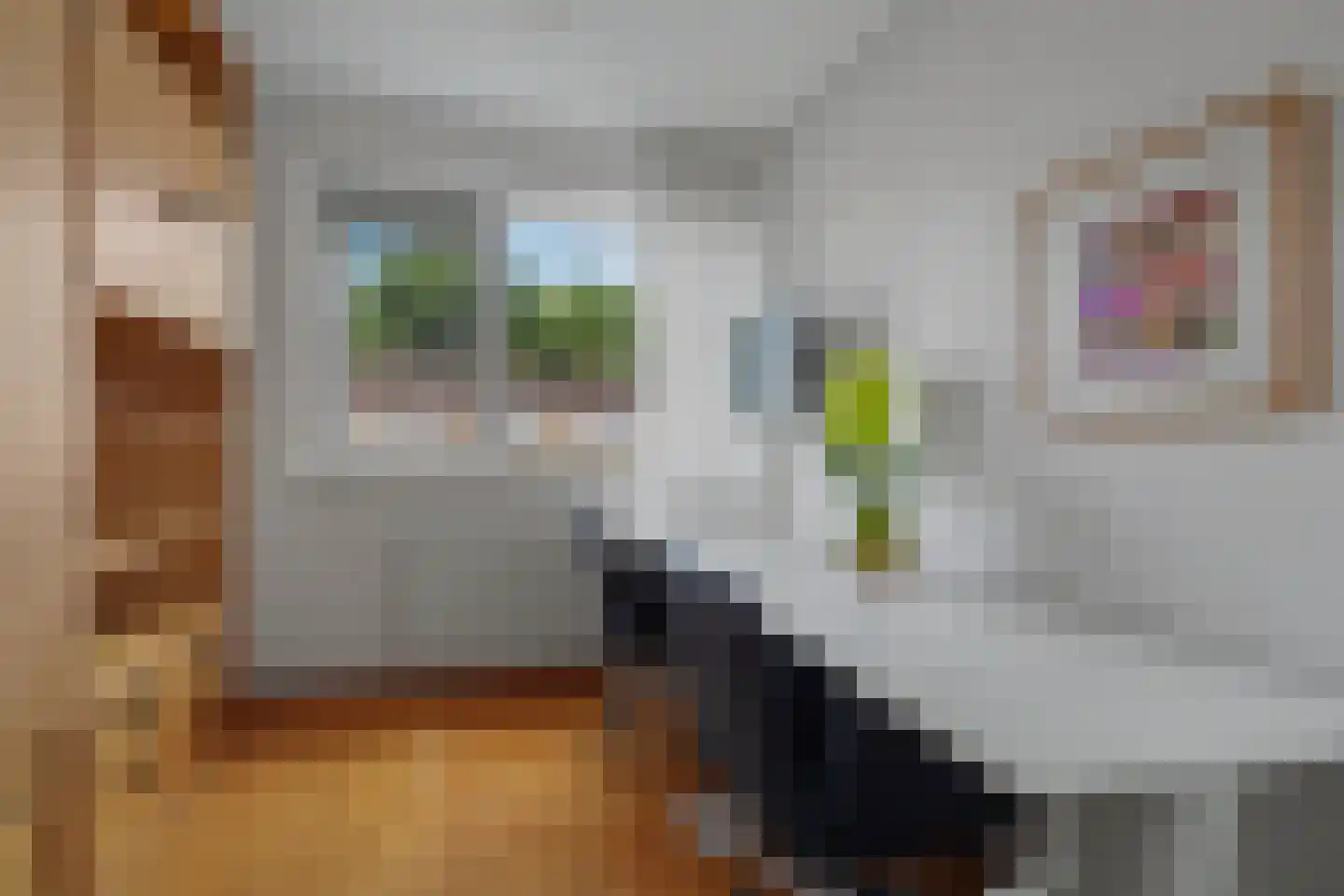 Borg Ewsum 48 Almelo thumbnail 26
