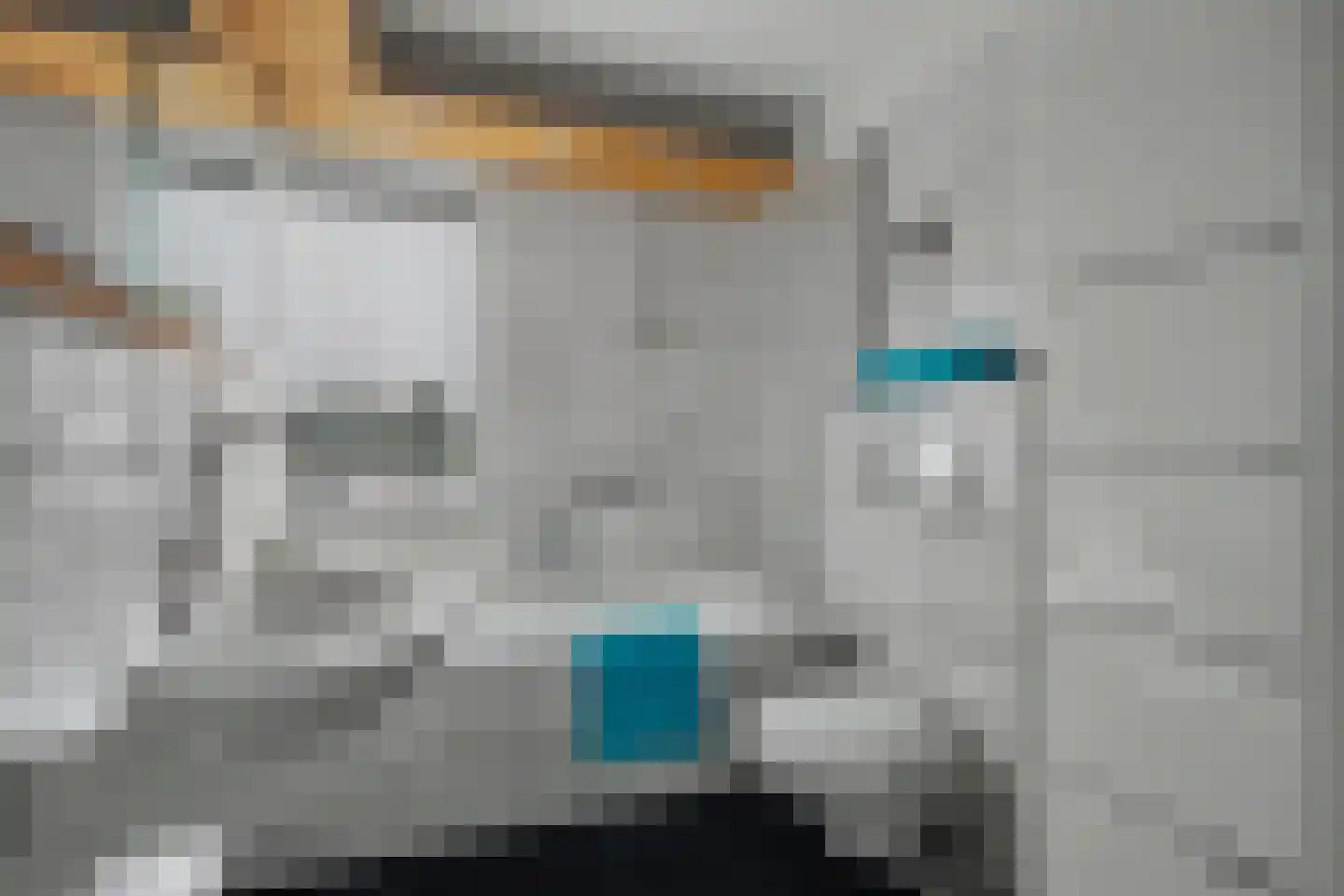 Borg Ewsum 48 Almelo thumbnail 28
