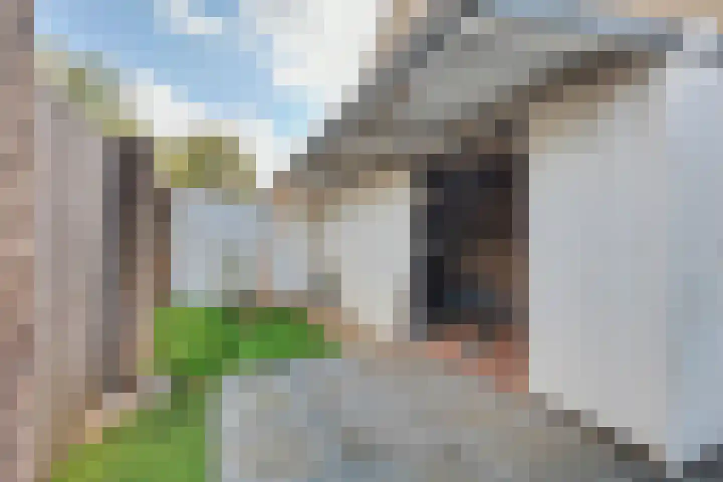Borg Ewsum 48 Almelo thumbnail 38