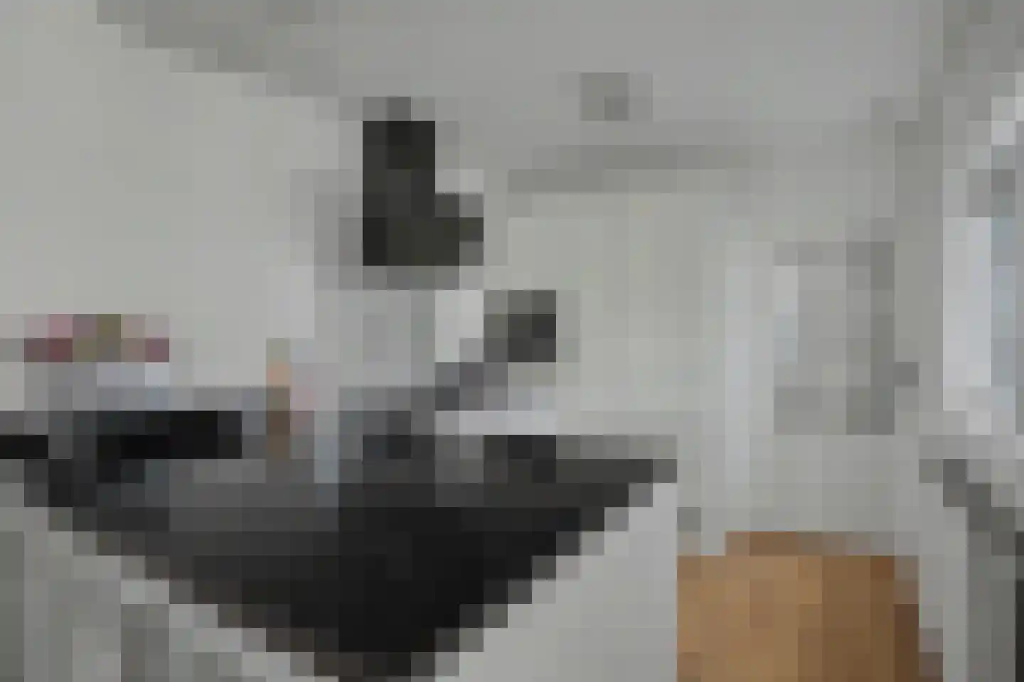 Borg Ewsum 48 Almelo thumbnail 4