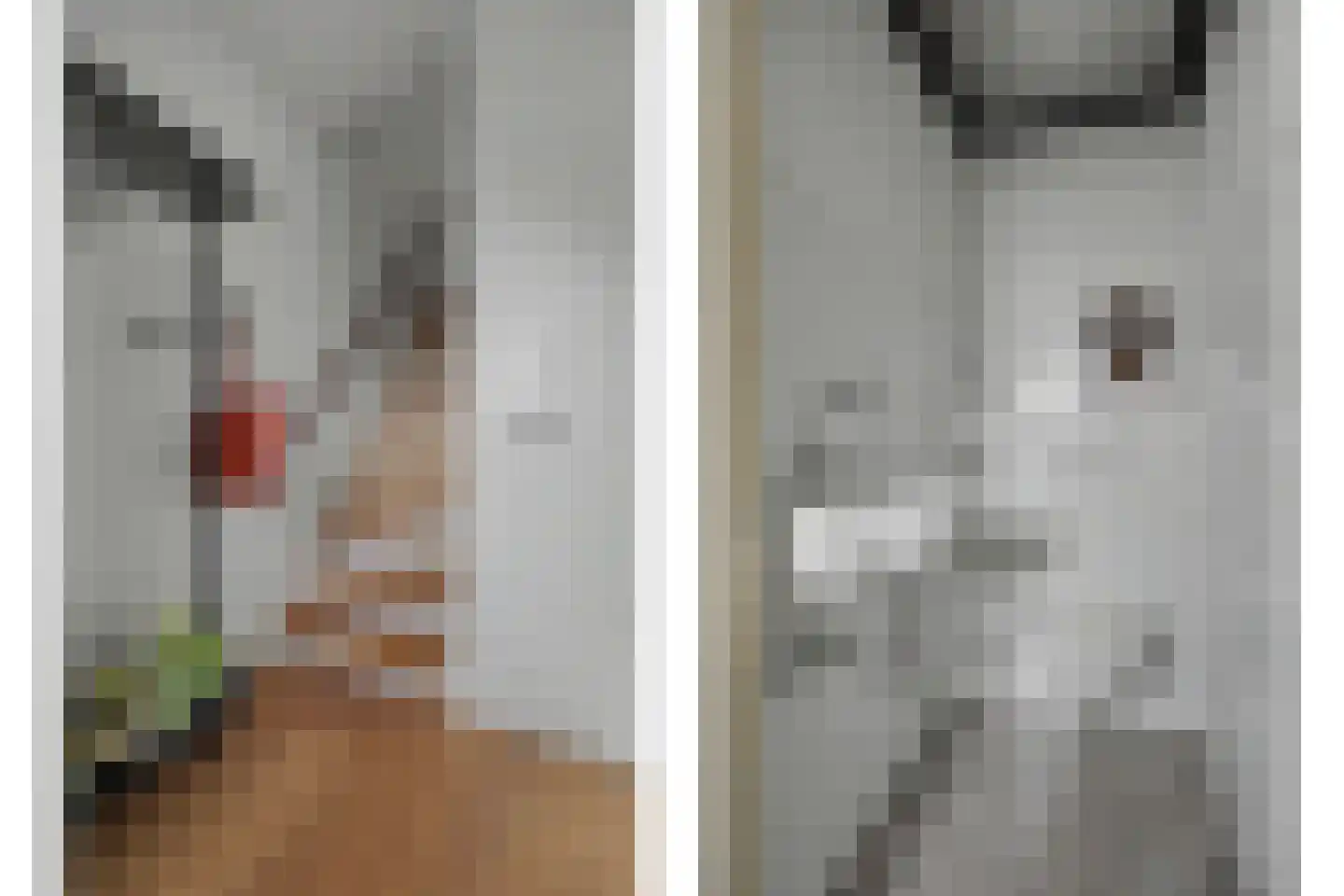 Borg Ewsum 48 Almelo thumbnail 9