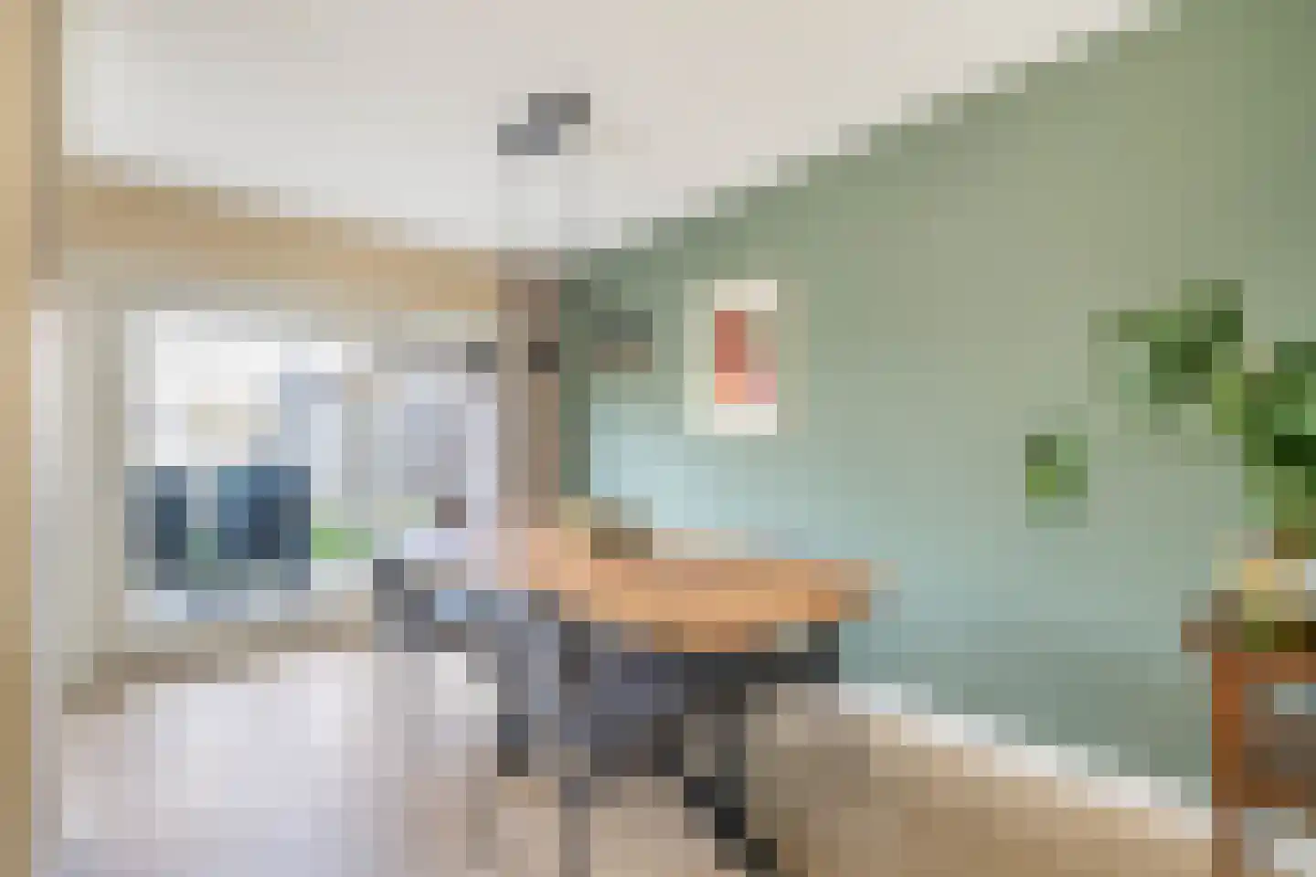 Borg Ewsum 70 Almelo thumbnail 10