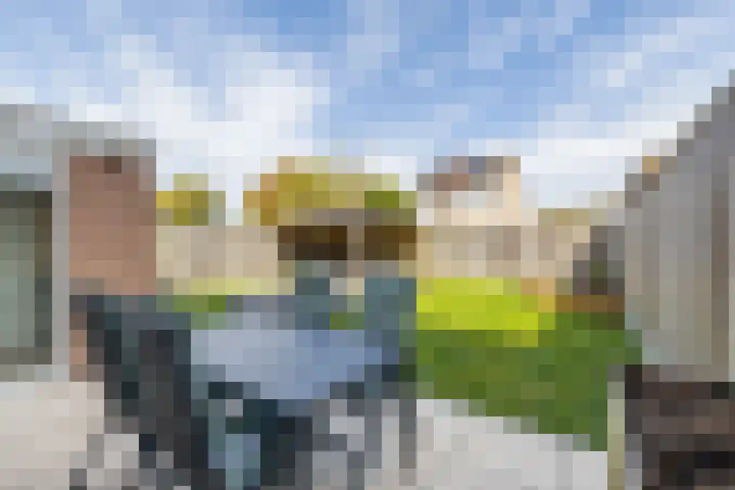 Borg Ewsum 70 Almelo thumbnail 29