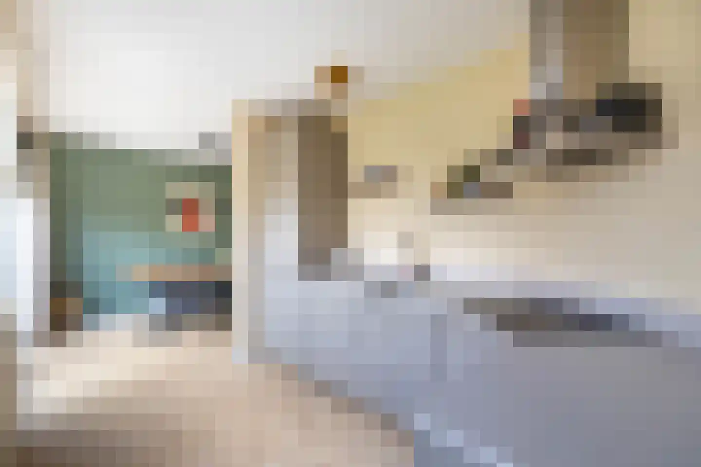 Borg Ewsum 70 Almelo thumbnail 7