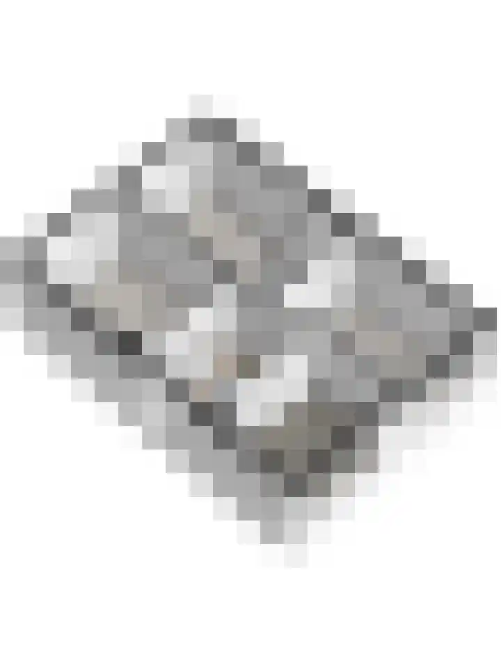 Borg Ewsum 92 Almelo thumbnail 32