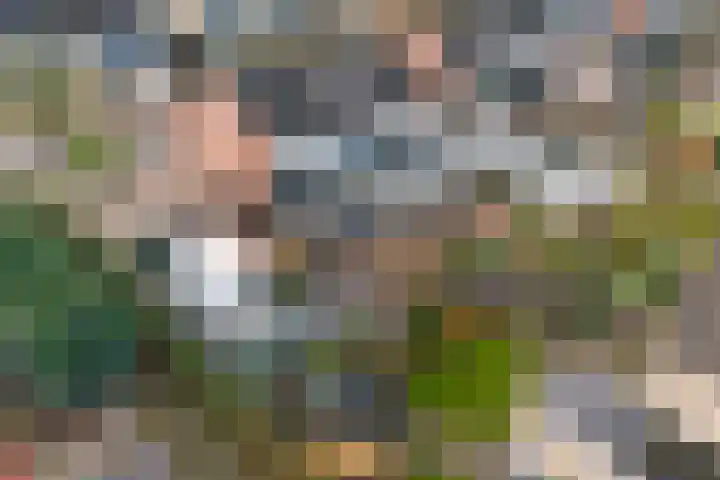 Borg Ewsum 96 Almelo thumbnail 43