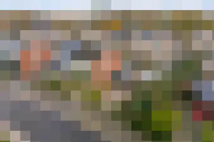 Borg Ewsum 96 Almelo thumbnail 44