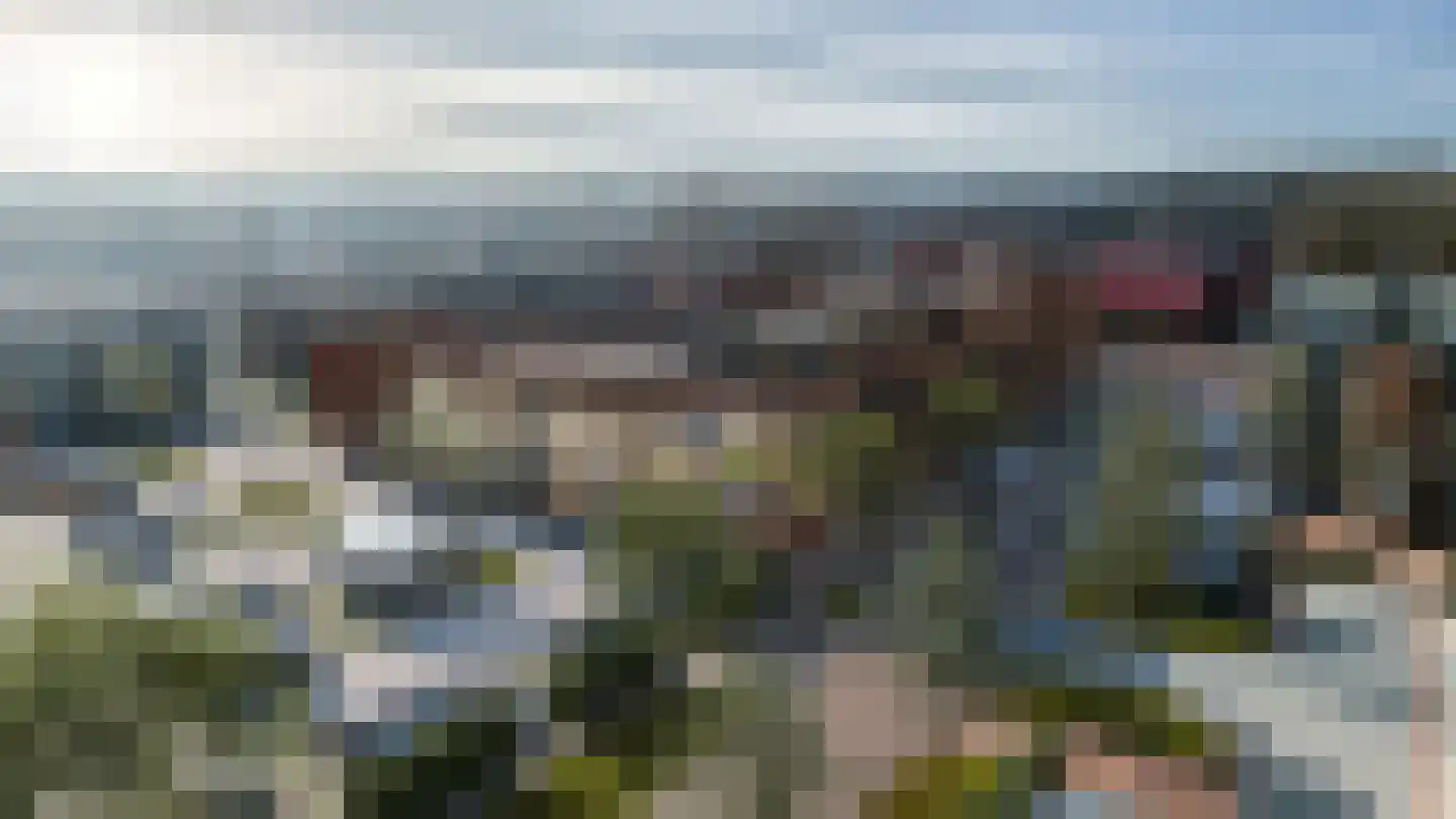 Borg. Oosterwijkbrink 203 Oosterwolde thumbnail 6
