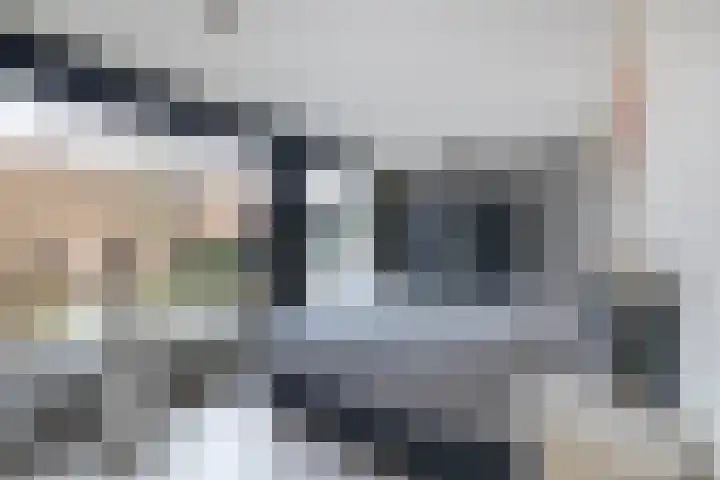 Borg Piloursema 5 Almelo thumbnail 17