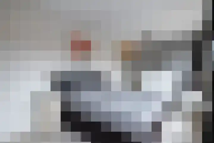 Borg Piloursema 5 Almelo thumbnail 18