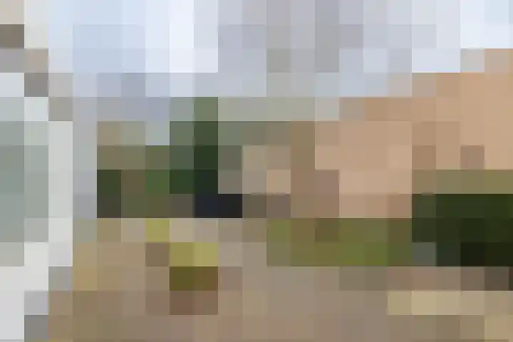 Borg Piloursema 5 Almelo thumbnail 23