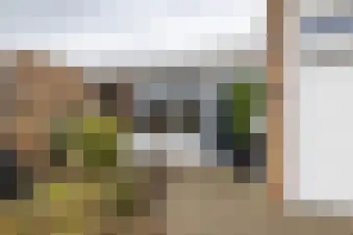 Borg Piloursema 5 Almelo thumbnail 25