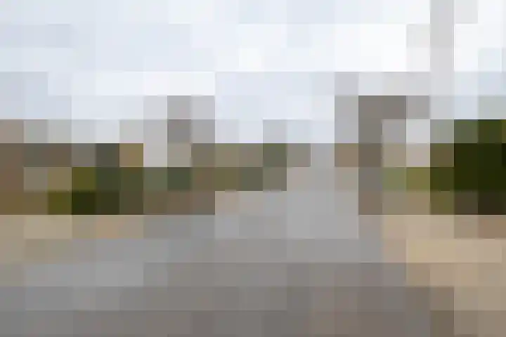Borg Piloursema 5 Almelo thumbnail 26