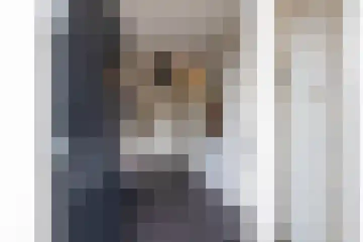 Borg Piloursema 5 Almelo thumbnail 5