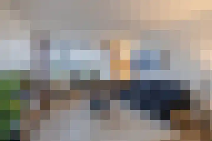 Borg Piloursema 5 Almelo thumbnail 6